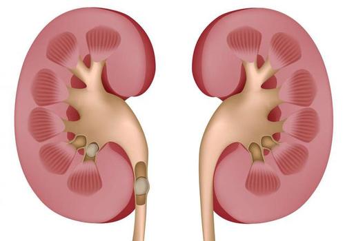 口腔“小”问题，竟然与肾脏“大”问题有关系？