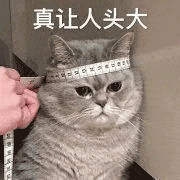 640.gif